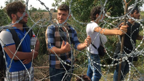 Мужчины перед забором, построенным на границе - Sputnik Латвия