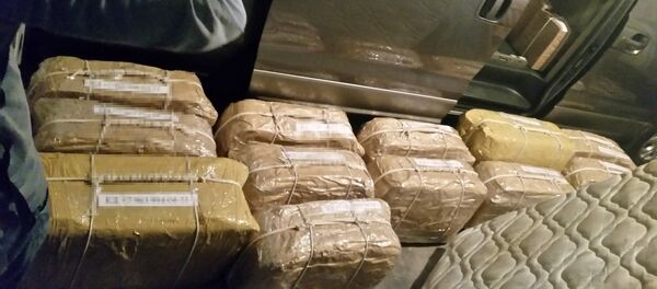 Кокаин, найденный в российском посольстве в Буэнос-Айресе - Sputnik Латвия