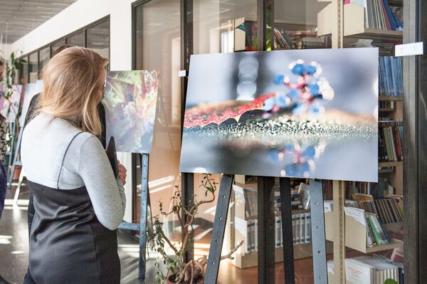 Фрагмент выставки Солнце на воде Фрагмент выставки Солнце на воде - Sputnik Латвия