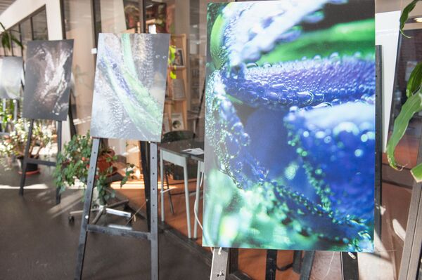 Фрагмент выставки Солнце на воде Фрагмент выставки Солнце на воде - Sputnik Латвия