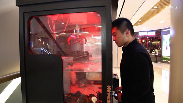Посетителям ресторана в Китае предлагают выловить живого омара игрушечным краном - Sputnik Латвия