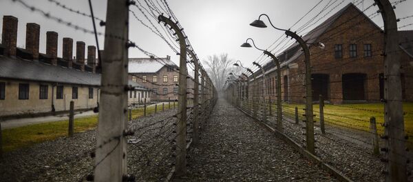 Концентрационный лагерь Аушвиц-Биркенау в Освенциме - Sputnik Латвия