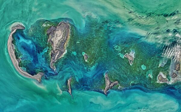 Снимок Тюленьих островов в Каспийском море, сделанный спутником Landsat 8 - Sputnik Латвия