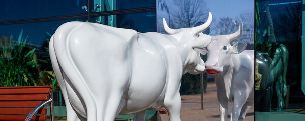 Перед зеркалом - Sputnik Latvija