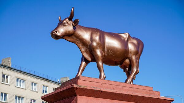 Корова-колосс - Sputnik Latvija