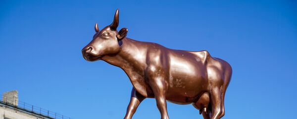 Корова-колосс - Sputnik Латвия