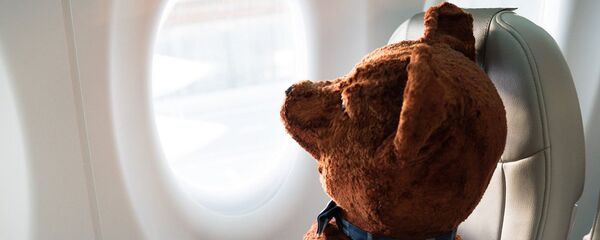 Плюшевый медведь в самолете - Sputnik Латвия