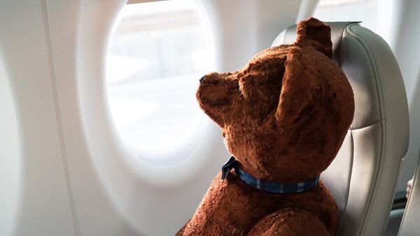 Плюшевый медведь в самолете - Sputnik Латвия