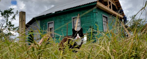 Деревня Деревня - Sputnik Latvija