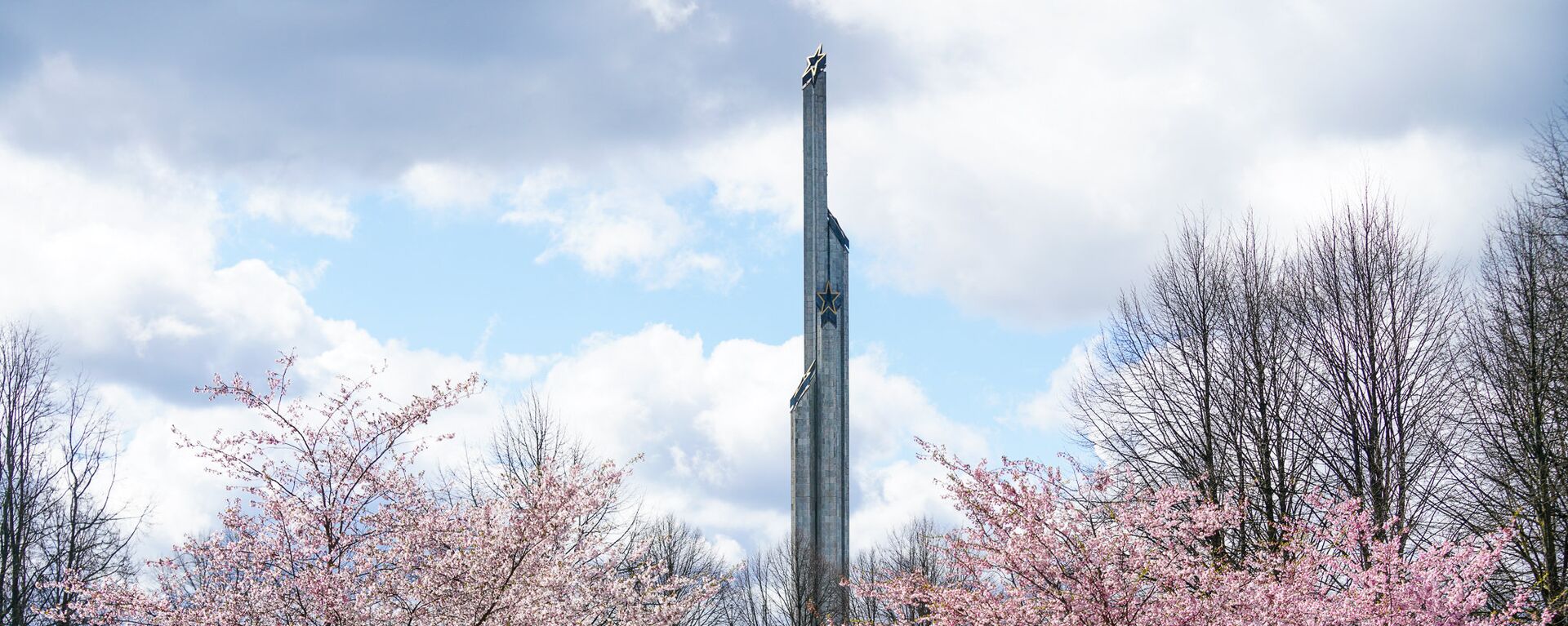 Памятник Освободителям и цветущая сакура в Парке Победы в Риге - Sputnik Латвия, 1920, 01.05.2021