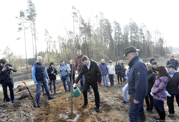 Большая толока: история, филология и интимная жизнь на кладбищах - Sputnik Латвия