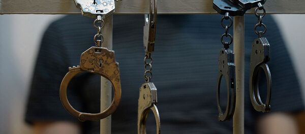 Задержание подозреваемых в совершении преступления Задержание подозреваемых в совершении преступления - Sputnik Латвия