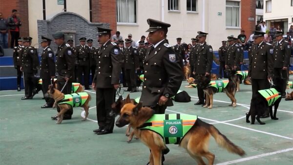 Ekvadorā ar godu izvadīti pensijā policijas suņi - Sputnik Latvija