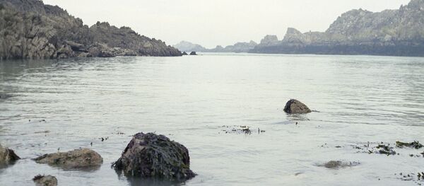 Пролив Ла-Манш. Пролив Ла-Манш. - Sputnik Latvija