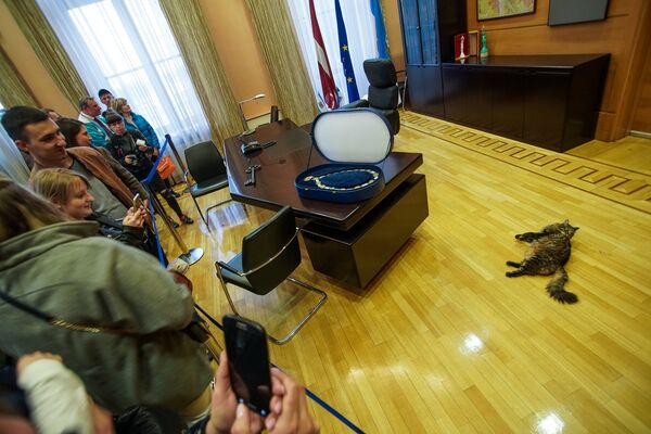 В кабинете мэра Риги посетителей встречал кот Кузя - Sputnik Латвия