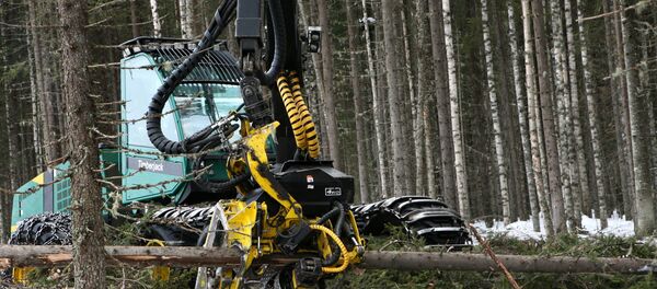 Лесозаготовительная машина - Sputnik Латвия