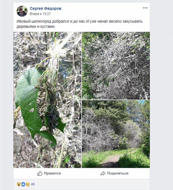 Пост в паблике Кенгарагс - Sputnik Latvija