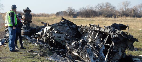 Голландские эксперты осматривают место крушения малайзийского самолета Голландские эксперты осматривают место крушения малайзийского самолета - Sputnik Latvija
