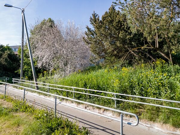 Паутина появилась даже на бровке тротуара Паутина появилась даже на бровке тротуара - Sputnik Латвия