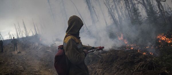 Тушение природного лесного пожара - Sputnik Латвия