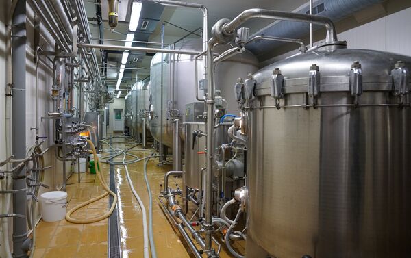 В огромных емкостях пиво дображивает около 30 дней, когда формируется его вкус и аромат - Sputnik Латвия