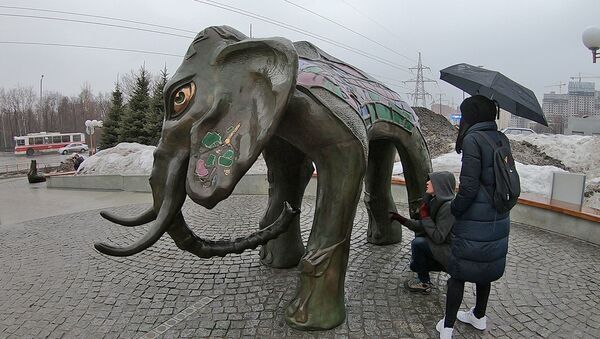 Увидеть в Самаре слона и загадать желание - Sputnik Латвия
