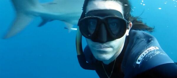 Фридайвер Брайан Руло встретился с акулами лицом к лицу - Sputnik Латвия