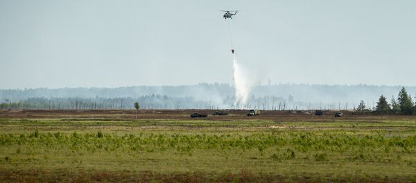 Ugunsgrēks Ādažu poligonā izcēlās 10. jūnijā Ugunsgrēks Ādažu poligonā izcēlās 10. jūnijā - Sputnik Latvija