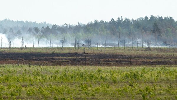 Пожар на полигоне Адажи, начавшийся в воскресенье 10 июня - Sputnik Латвия