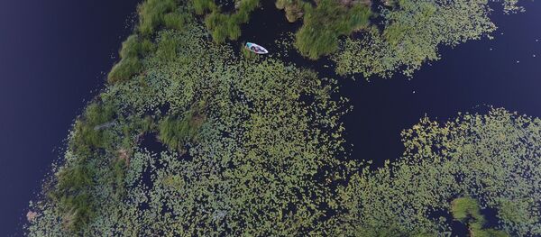 Поисковые операции Bezvests.lv в районе Бабитского озера - Sputnik Латвия