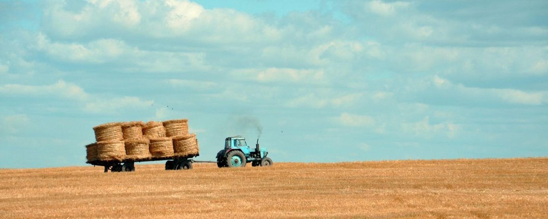 Трактор на поле собирает пшеницу - Sputnik Латвия, 1920, 02.11.2022