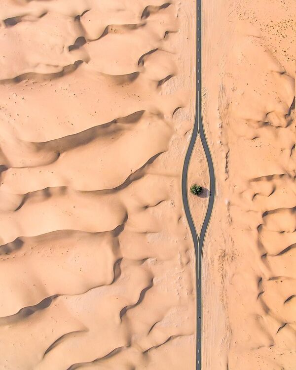 Arābijas tuksnesis negribīgi sastopas ar cilvēka uzspiestajām pārmaiņām. Foto: ceļš un viens vienīgs koks Dubaijā - Sputnik Latvija