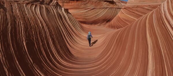 Каменная волна Аризоны Каменная волна Аризоны - Sputnik Latvija