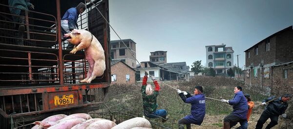 Работа участника конкурса LensCulture Street Photography Awards 2018 - Sputnik Латвия