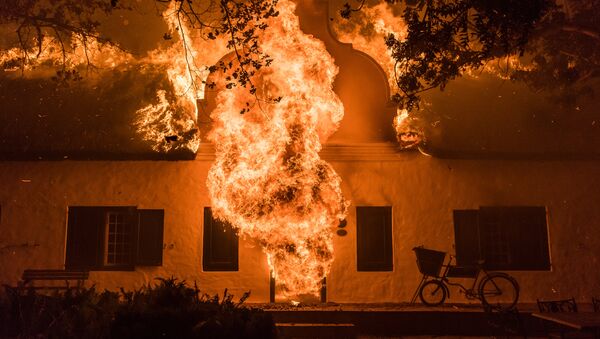 Документальная хроника фотожурналиста из Кейптауна Джастина Салливана В огне: за гранью - Sputnik Latvija