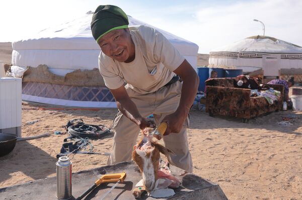 На пикник привезли с собой козу - Sputnik Латвия