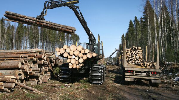 Заготовка леса. Архивное фото - Sputnik Латвия