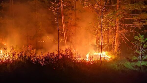 Пожар в Талсинском крае - Sputnik Латвия