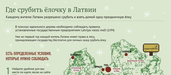 Где срубить рождественскую ёлку в Латвии Где срубить рождественскую ёлку в Латвии - Sputnik Латвия