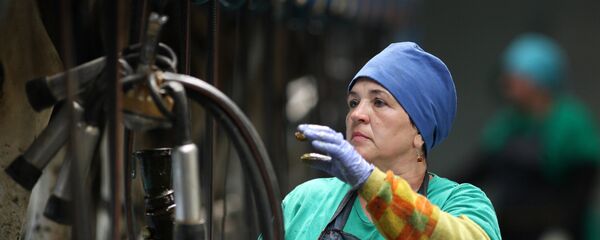 Работница на молочно-товарной ферме - Sputnik Латвия