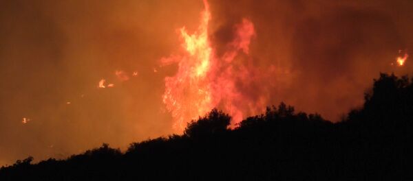 Grieķijā mežu ugunsgrēkā iet bojā cilvēki Grieķijā mežu ugunsgrēkā iet bojā cilvēki - Sputnik Latvija