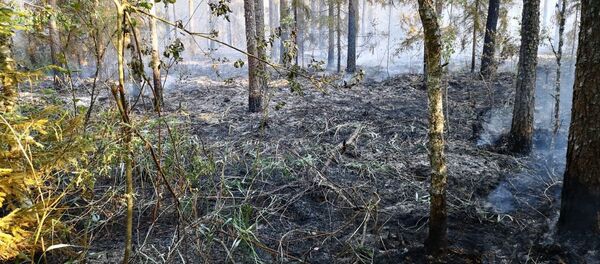 Пожар в Талсинском крае - Sputnik Латвия