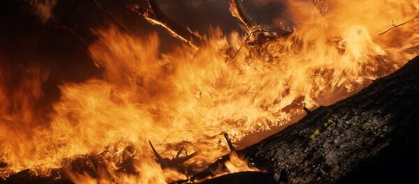 Лесной пожар Лесной пожар - Sputnik Latvija