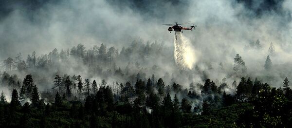 Лесной пожар Лесной пожар - Sputnik Latvija