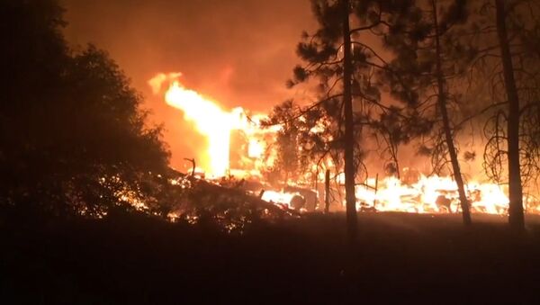 Лесные пожары полыхают в Калифорнии, население эвакуировано - Sputnik Latvija
