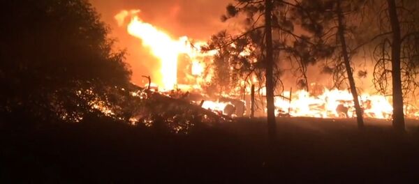 Лесные пожары полыхают в Калифорнии, население эвакуировано - Sputnik Latvija