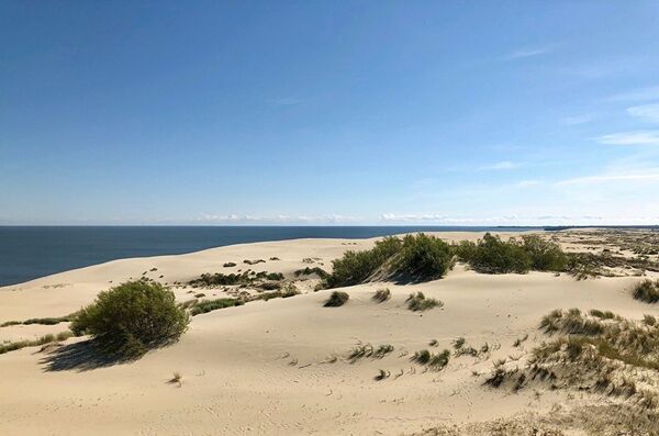 Дюны, Куршская коса Дюны, Куршская коса - Sputnik Латвия