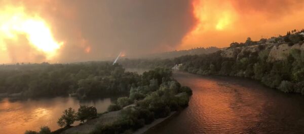 Лесной пожар в Калифорнии Лесной пожар в Калифорнии - Sputnik Latvija