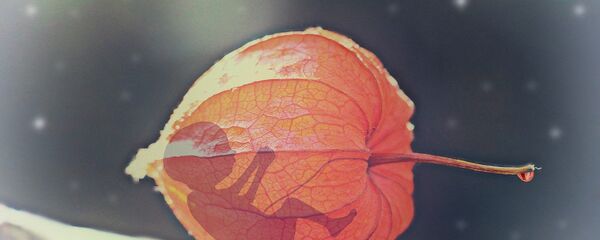 Bērns - Sputnik Latvija