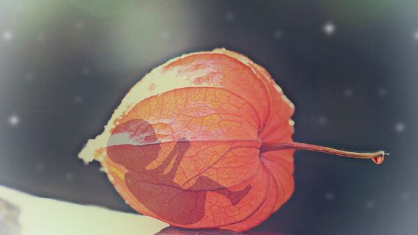 Bērns - Sputnik Latvija